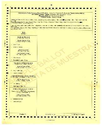 SAMPLE BALLOT DEMOCRATIC PARTY PRIMARY RUNOFF ELECTION