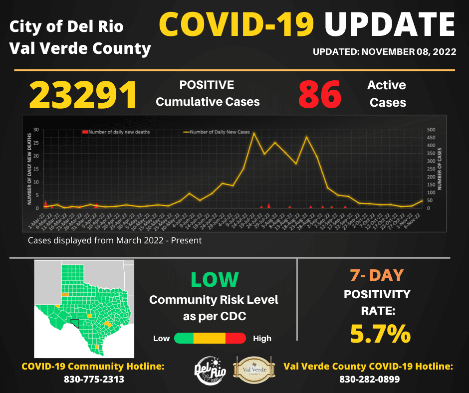 COVIDReportsum1 nov 8